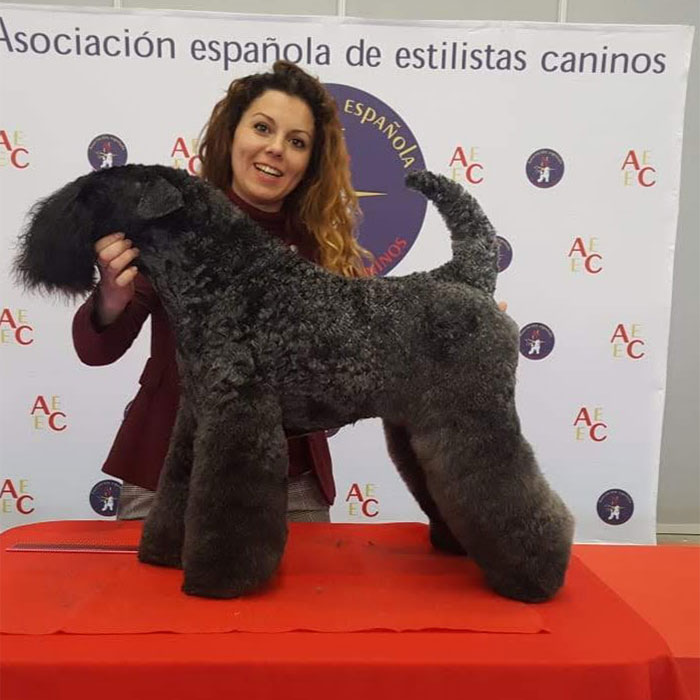 Conoce nuestros premios y reconocimientos Conoce nuestros premios y reconocimientos