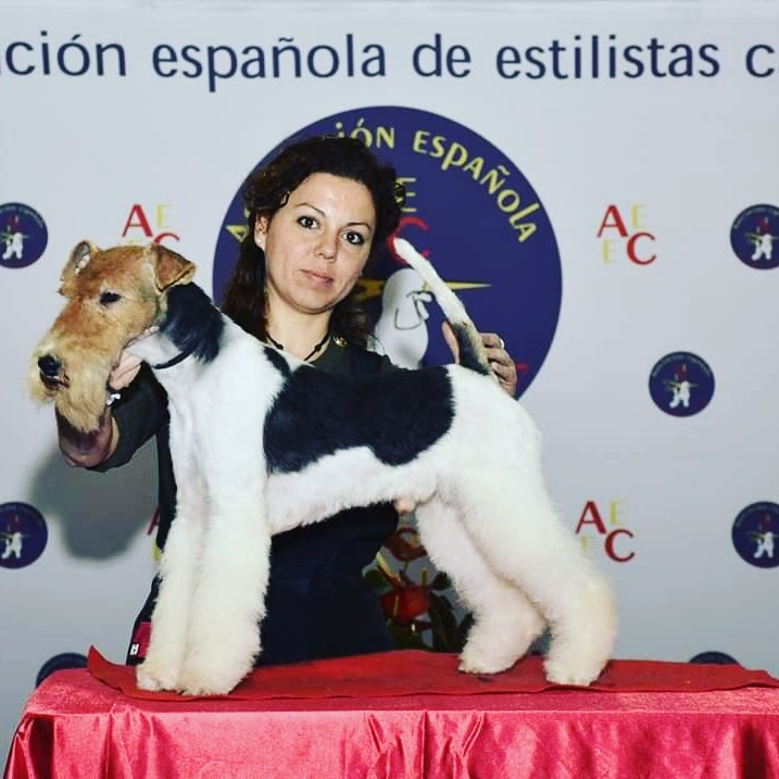 IMG_20200225_123916_814