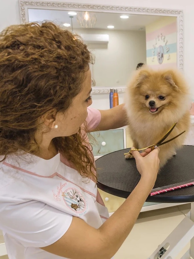Profesora de peluquería canina cortando el pelo a un perro