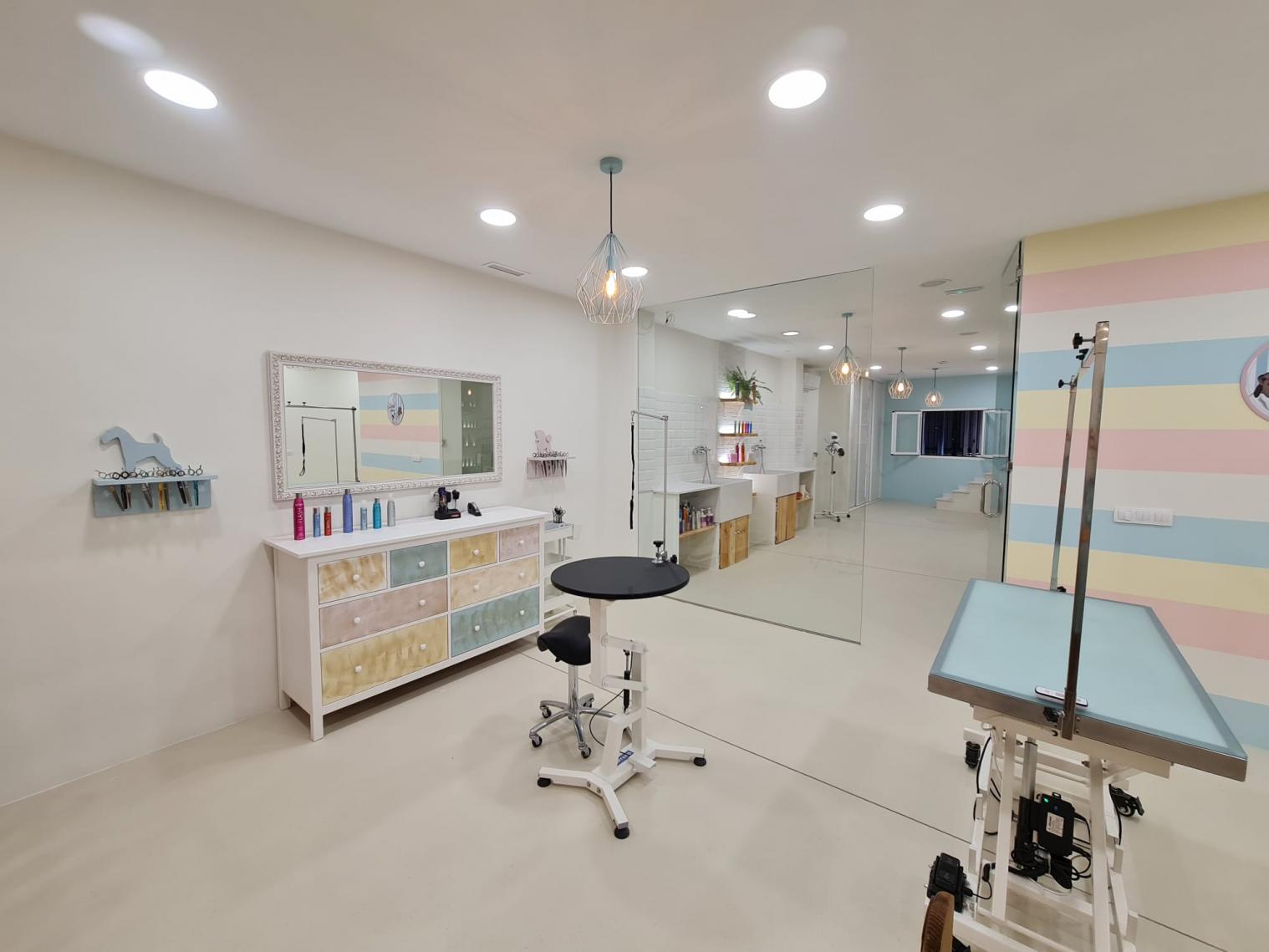 Interior de la academia de peluquería canina Kristylcan