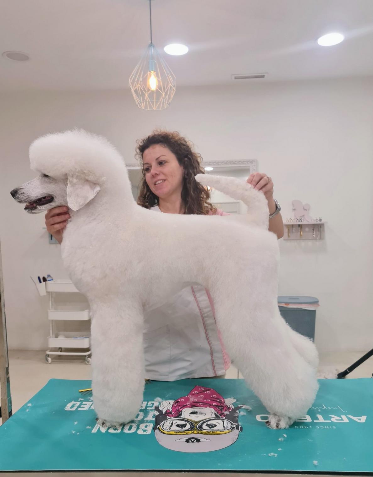 La profesora de peluquería enseñando un nuevo corte de pelo